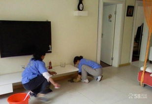 明亮家政服務(wù)中心 點(diǎn)亮生活，專業(yè)家政服務(wù)守護(hù)家的溫度